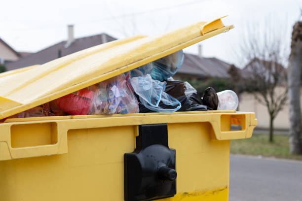 Best Basement Cleanout  in Des Allemands, LA